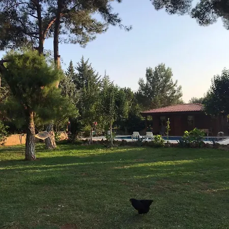 Lovely Summer House With Shared Pool In Kepez Vakantiehuis